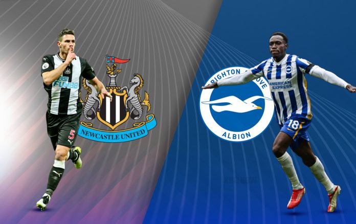 Newcastle vs Brighton